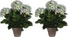 Mica Decorations Kunstplant Hortensia - 2x - groen/paars - 45 cm - in pot