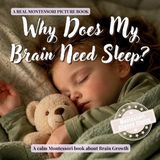 Why The Whole Brain Toddler- Why Does My Brain Need Sleep?