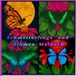 Schmetterlings- und Blumen-Malbuch: „Ein wunderschönes Malbuch mit Schmetterlingen und Blumen für alle Altersgruppen“