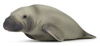Papo 56015 Manatee Figuur