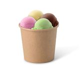 GREENBOX 50 x kartonnen ijsbekertjes, 250 ml, bruin, plasticvrij en biologisch afbreekbaar, dessertschaal, to-go beker