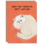 Artery8 Sorry Things Are Sh*tty Grumpy Fluffy Cat Lover Blank For Him Or Her Art Get Well Card