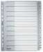 Leitz 12800000 Indextabs grijs Karton 23,8 x 2 mm