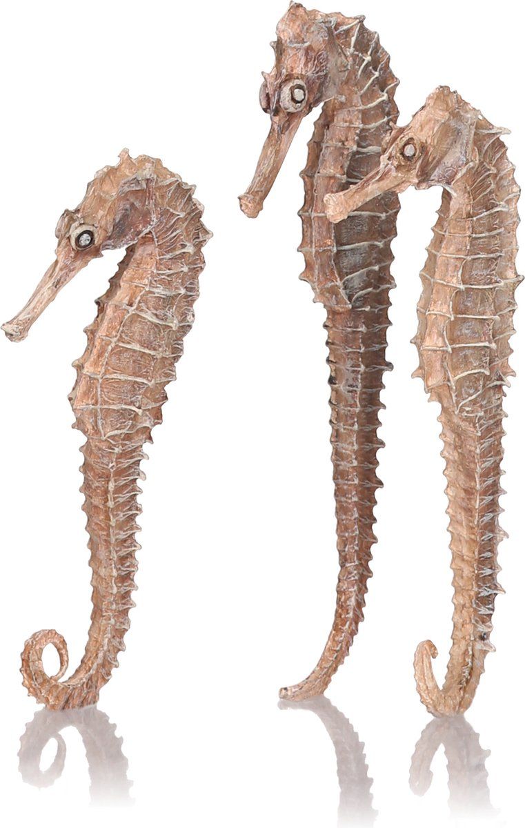 biOrb Zeepaard Set 3 Naturel