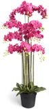 Oosterik Home Orchidee fuchsia in pot H 160 cm kunstplant