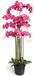 Oosterik Home Orchidee fuchsia in pot H 160 cm kunstplant