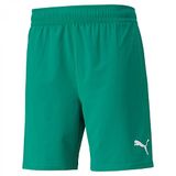 PUMA Teamfinal Shorts voor heren