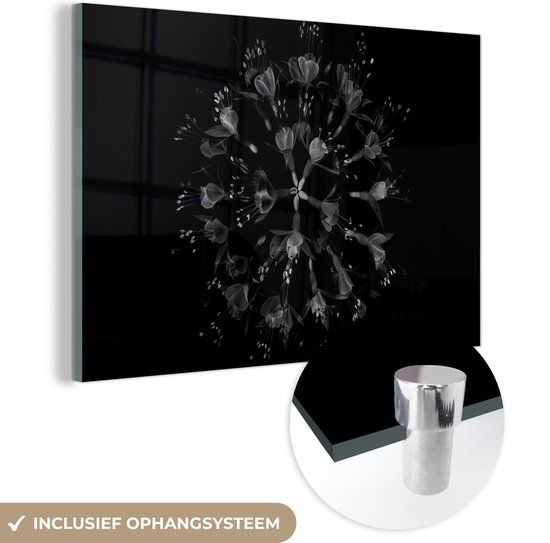 MuchoWow® Glass Painting 150x100 cm - Acrylic Glass Painting - Flowers - Orange - Pink - Black - Photo on Glass - Paintings