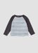 s.Oliver T-shirt Enfants Unisexe Gris foncé rayé Manches courtes Col rond Coton