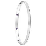 Lucardi Dames Armband bangle geboortestenen - Staal - Armband - Cadeau - Stijlvol - Zilverkleurig