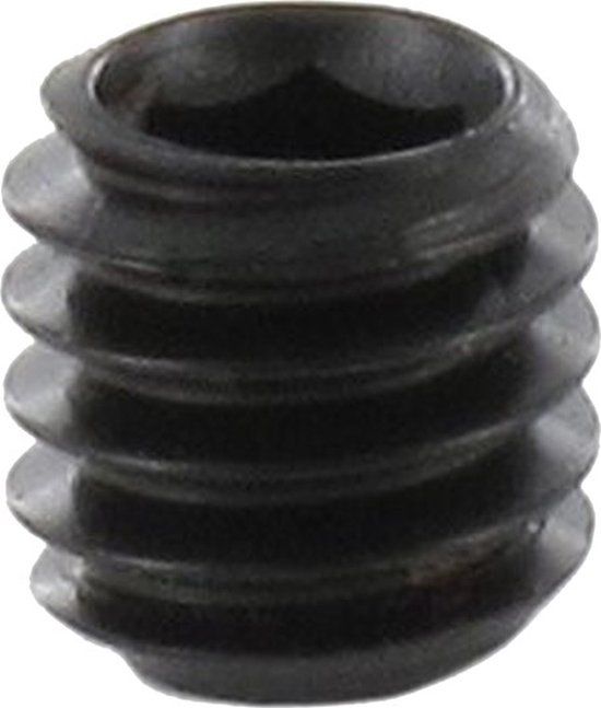 ENT schroef M 4 x 4 - 7900602