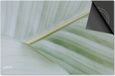 Dietrix Inductie beschermer 71x52 - Leaves - 8 Wit groen blad van dichtbij