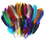 55 plumes de canard naturelles colorées pour le bricolage et la décoration