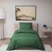 Dreamzie Dekbedovertrek 135x200 cm met Kussensloop 80x80 cm - Groen - 100% Microvezel - Oeko-Tex Gecertificeerd