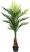 Creativ green Goldfruchtpalme, Höhe 140 cm