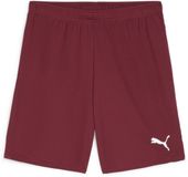Puma TeamGoal Shorts 705752 Heren L