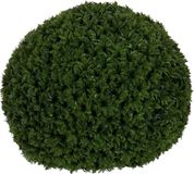 3198 BigBuy Home Decoratieve plant groen PVC 38 x 38 cm