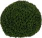 3198 BigBuy Home Decoratieve plant groen PVC 38 x 38 cm