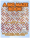 A Big Maze Book: Enjoying for Adult Concentration