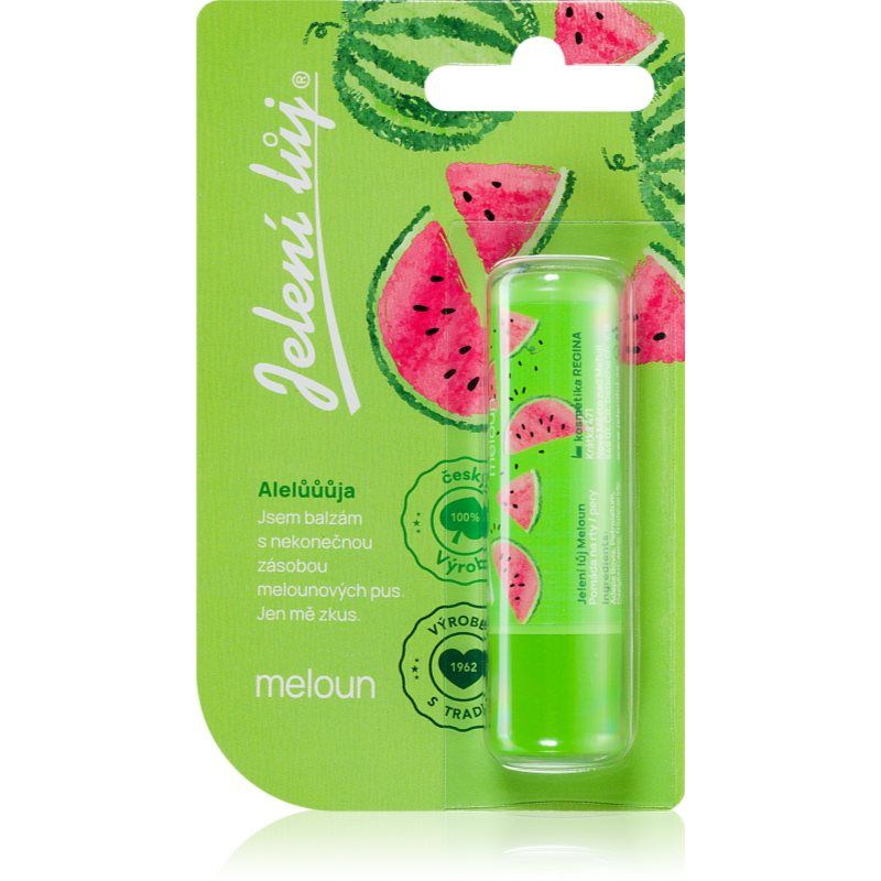 Regina Juicy Summer Watermelon Lip Balm 4 Grams
