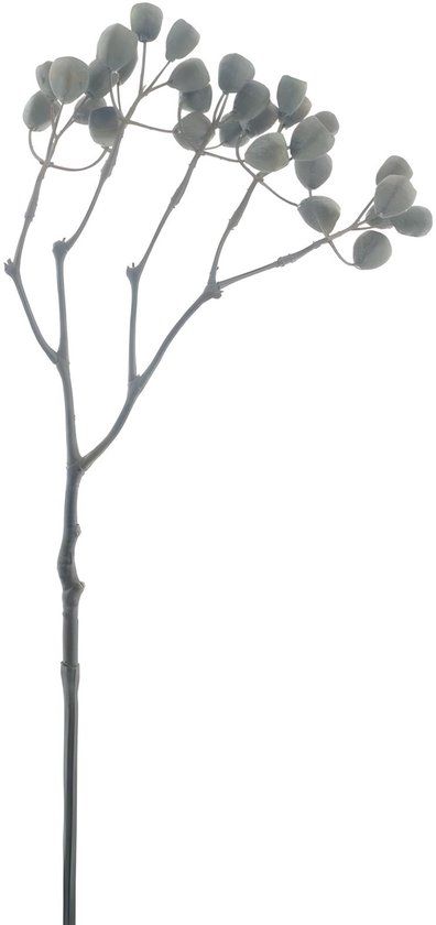 Buitengewoon Boet Buitengewoon de Boet Sifang fruit spray bruin 68 cm kunsttak