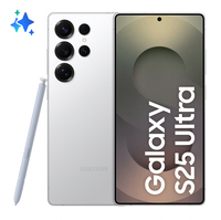 Samsung Galaxy S25 Ultra / 256 GB / Zilver