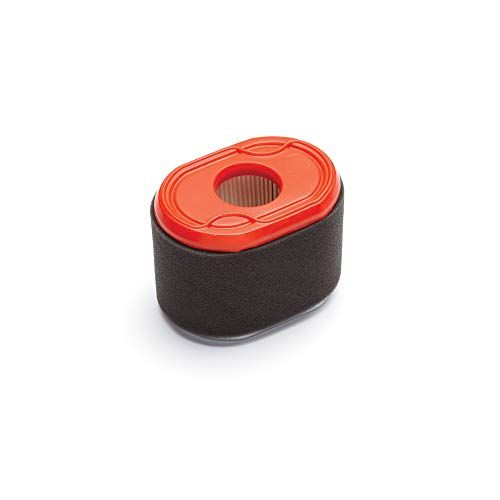 Briggs & Stratton 796970 Air Filter Cartridge