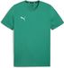 Puma Shirt TeamGoal CasuaLongsleeve Tee 658615