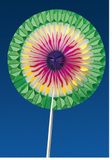 Garcia de Pou Houten Iceam Cream Decoratie Medium Chinese Fans in Doos, Hout, Gesorteerd, 10 x 30 x 30 cm