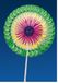Garcia de Pou Houten Iceam Cream Decoratie Medium Chinese Fans in Doos, Hout, Gesorteerd, 10 x 30 x 30 cm