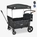 FableKids LEO X4 Plus - opvouwbare trolley met dak - 4 zitplaatsen - Onyx Black