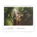 Icecat Calendrier anniversaire - Paysage - XL