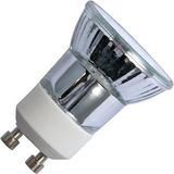 Schiefer Halogeen spot 35W GU10 30gr (MR11-35MM)