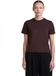 Icebreaker 150 Tech Lite Iii Crop T-shirt à manches courtes Brun XS Femme