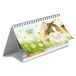 Comello Franciens Katten deskkalender 2027