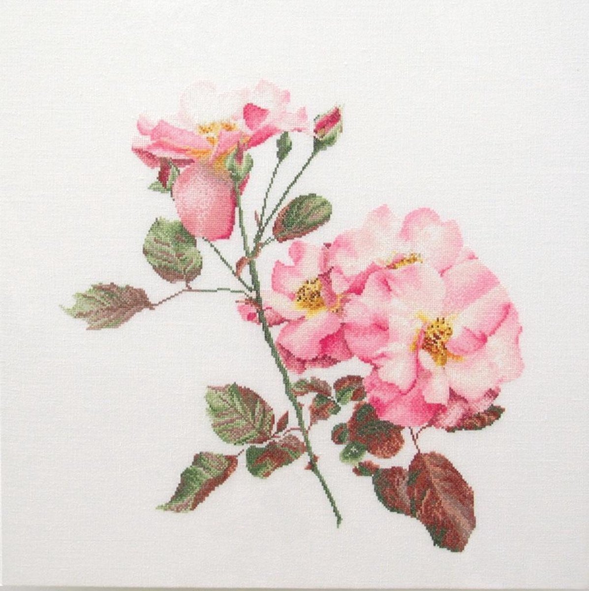 Thea Gouverneur Rosa Leersum Op Aida Kruissteek Kit-44,5 x 44,5 cm 18 Count