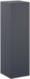 vidaXL Plantenstandaard Antraciet 30 x 30 x 100 cm Roestvrij staal