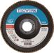 TECWERK NORDWEST Handel AG Waaierschijf D.115mm K.40 kon.INOX CO TECWERK