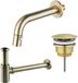 FortiFura Calvi Robinet de fontaine - encastré - bec 18cm - raccourcissable - siphon - bouchon à ouverture permanente - PVD - laiton brossé (or)