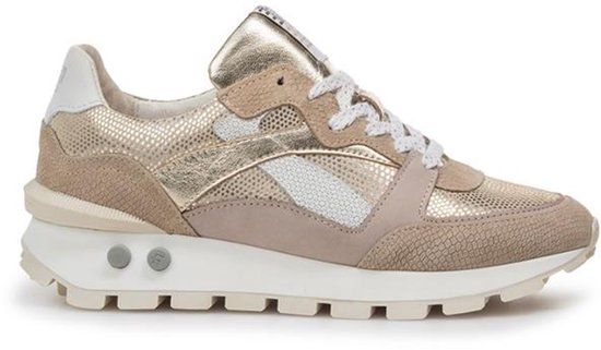 Floris van Bommel Blokki 07.05 Taupe G SFW-10157-34-02