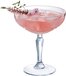 Arcoroc Broadway Cocktailglazen - 25cl (Set van 6) - Martiniglas - Vaatwasserbestendig