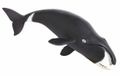 Safari Zeedieren Groenlandse Walvis Junior 21 cm noir/blanc