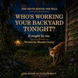 Who's Working Your Backyard Tonight?: It might be me.