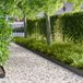 vidaXL Gazonafboording met scherpe punten 10 stuks 100x15cm Staal Zwart