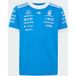 ADIDAS PERFORMANCE Functioneel shirt 'Mercedes-AMG Petronas Formula 1 Team Blue Wonder' azuur / wit
