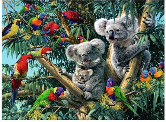Ravensburger Puzzel Dieren Koalas in de Boom - 500 Stukjes