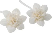 Joy of Balance Ancient Wisdom Natuurlijke diffuserbloemen - Grote lelie aan touw - 12 stuks