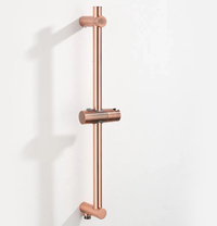 Boss & Wessing Glijstang boss & wessing plus met wateraansluiting 60 cm geborsteld koper