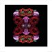 Your Decoration B.V. Kunstdruk Alyson Fennell - Paradise of Petals 60x60cm