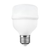Samsung Ampoule à incandescence LED Industrielle E27 20 W. Fria